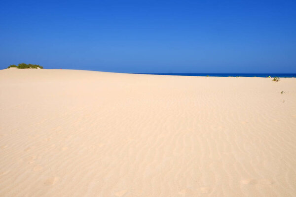 Песчаные дюны и пляж в Национальном парке Корралехо, Фуэртевентура
.