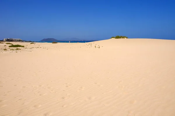Sanddyner och strand i nationalparken Corralejo, Fuerteventura. — Stockfoto