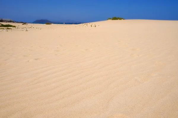 Sanddyner och strand i nationalparken Corralejo, Fuerteventura. — Stockfoto