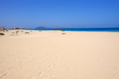 Ulusal Park Corralejo, Fuerteventura kum tepeleri ve plaj.