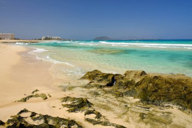 Fuerteventura üzerinde Beach Corralejo, Kanarya Adaları.