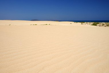 Ulusal Park Corralejo, Fuerteventura kum tepeleri ve plaj.