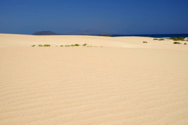 Ulusal Park Corralejo, Fuerteventura kum tepeleri ve plaj.