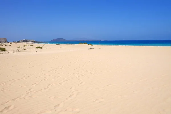 Dunas de arena y playa en Parque Nacional Corralejo, Fuerteventura . — Foto de Stock