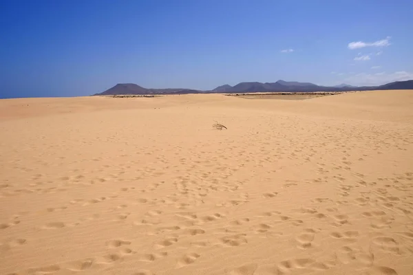 Sand Dunes in National Park Corralejo, Fuerteventura. — Stock Photo, Image