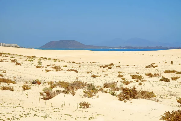 Dunas de Areia e Praia no Parque Nacional Corralejo, Fuerteventura . — Fotografia de Stock