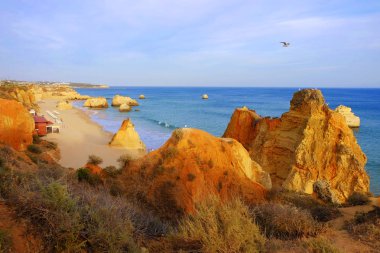 Portimao, Algarve, Portekiz'deki Praia de Rocha plajında manzara.