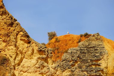 Algarve, Portekiz güzel bir uçurum ve bir martı ile Manzara