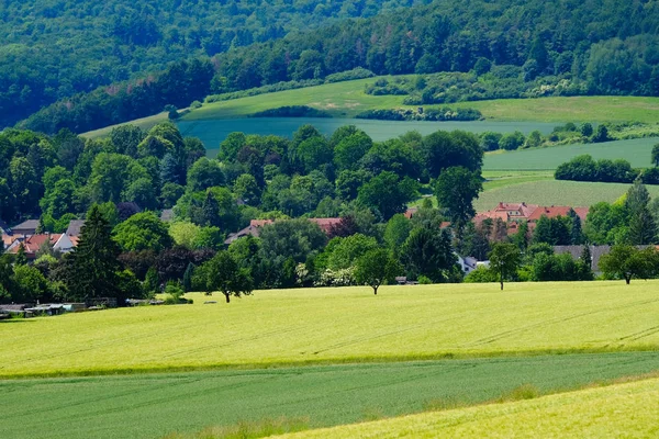 Vista sobre os campos agrícolas com grãos na Alemanha . — Fotografia de Stock