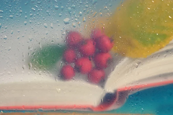 Open book and red autumn berries behind the window in rainy day.