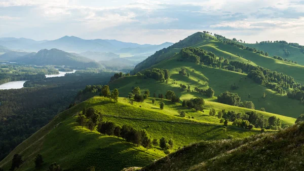 Altai Vale Rio Katun — Fotografia de Stock