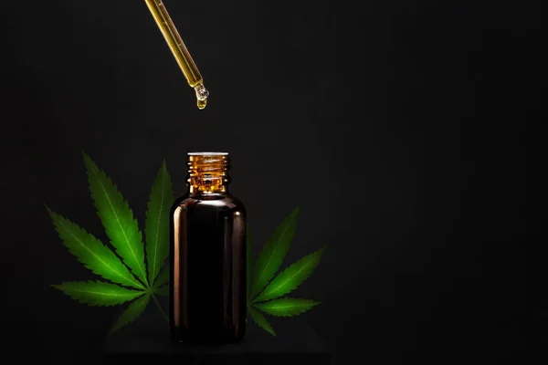 Kenevir yapraklı, siyah zemin üzerinde CBD yağı olan bir damlatıcı..