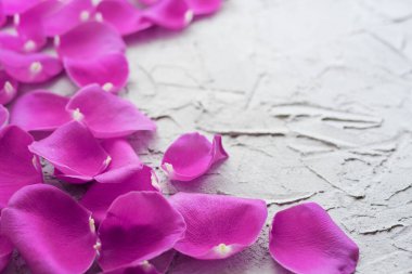 Alçılı, desenli arka planda pembe gül yaprakları..