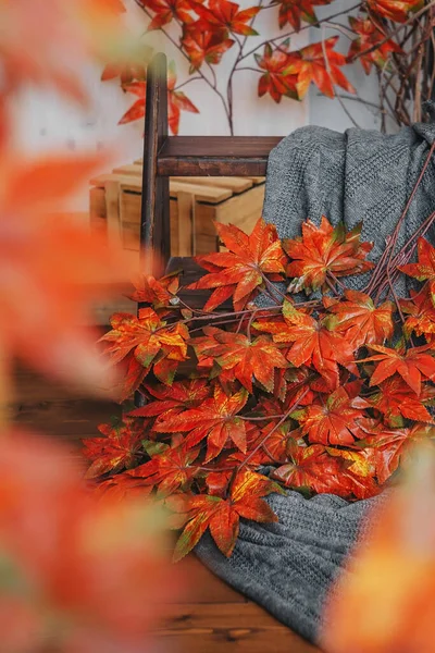 木の背景に赤いカエデの枝と灰色のニットが再生されます 10月の気分 — ストック写真