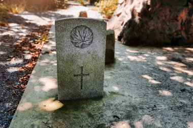 Güneşli bir sonbahar gününde mezarlıkta eski bir mezar taşı.