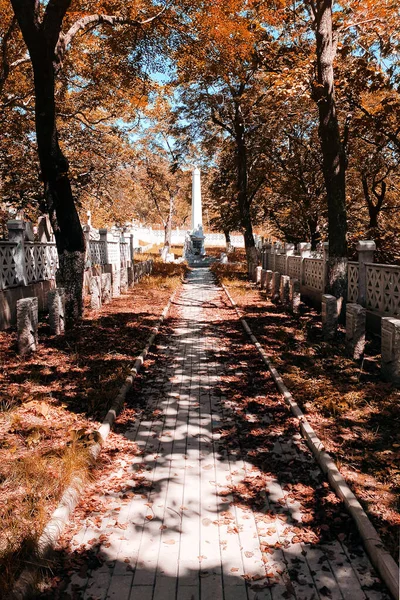 Der Weg Rotem Laub Zum Denkmal Park — Stockfoto