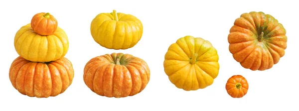 Naturlig Pumpa Isolerad Vit Bakgrund Höstset För Design Utan Skuggor — Stockfoto