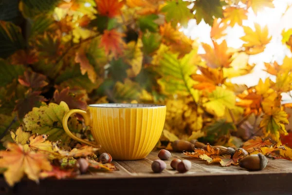 Gelbe Tasse Tee Herbstlaub Mit Eicheln Und Nüssen Herbststimmung — Stockfoto