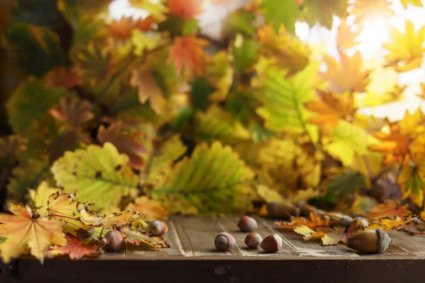 紅葉のある木のポーチにはヘーゼルナッツやアコーンが散在しています コピースペース付き秋の背景 — ストック写真