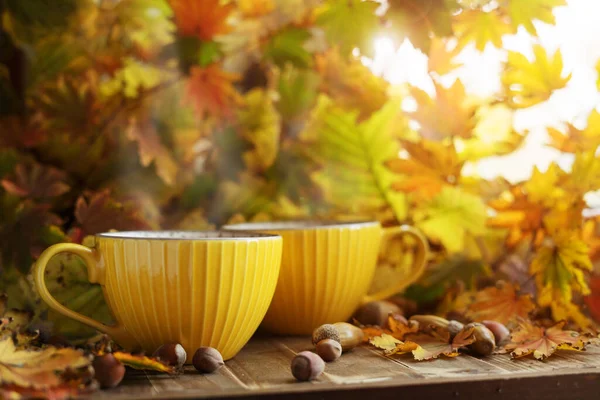 Sonbahar yapraklarında meşe palamudu ve fındıklı iki sarı çay. Sonbahar atmosferi.
