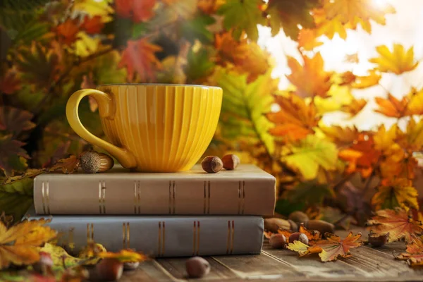 Tazza Gialla Caffè Una Pila Libri Fogliame Autunnale Con Ghiande — Foto Stock