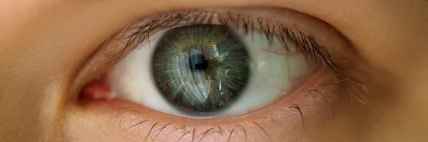 Masculino esquerdo esmeralda verde colorido olho — Fotografia de Stock