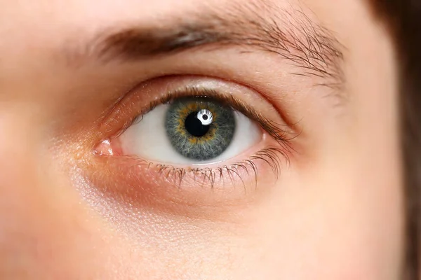 Hombre izquierdo verde gris ojo de color extremo primer plano — Foto de Stock