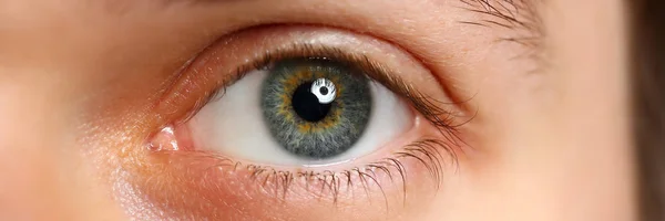 Mannelijke linker groen grijs gekleurde eye extreme close-up — Stockfoto