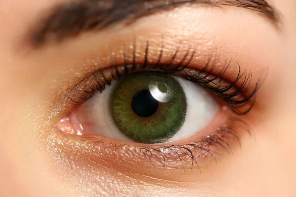 Γυναικεία αριστερά σμαραγδένιο πράσινο χρώμα ματιών ακραίες closeup — Φωτογραφία Αρχείου