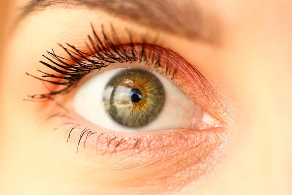 Primer plano del increíble ojo derecho de color verde femenino — Foto de Stock