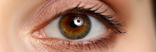 Kadın sol kahverengi yeşil renkli şaşırtıcı göz Letterbox görünümü — Stok fotoğraf