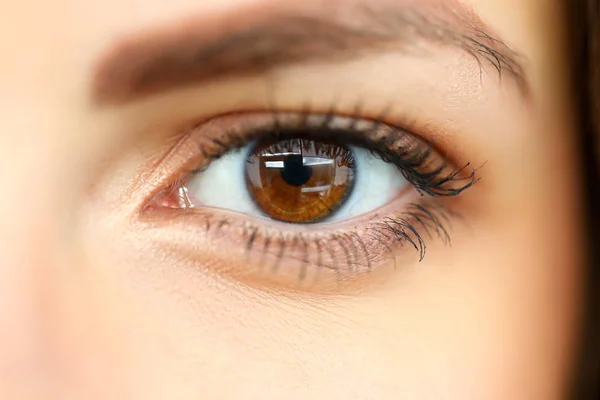 Female left brown coloured amazing shiny eye — Stock Photo, Image