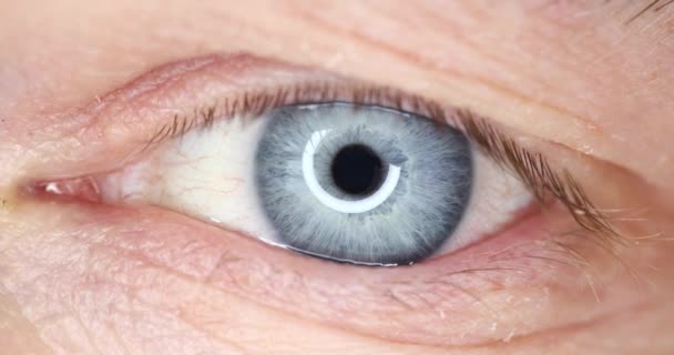 4k macro video of wide opened male blue eye — Stock Video