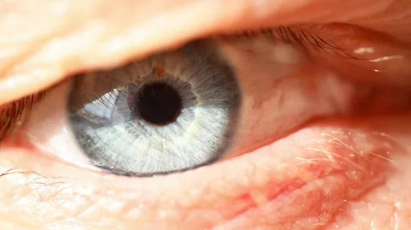 Ojo derecho de color azul gris masculino en técnica de poca luz — Foto de Stock