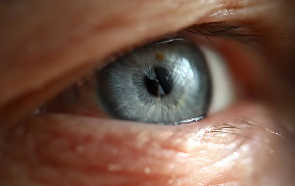 浅光技术中的男性灰蓝色右眼 — 图库照片