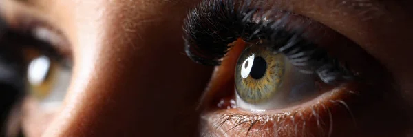 Erstaunliche weibliche grün gefärbte Augen mit Wimpernverlängerungen — Stockfoto