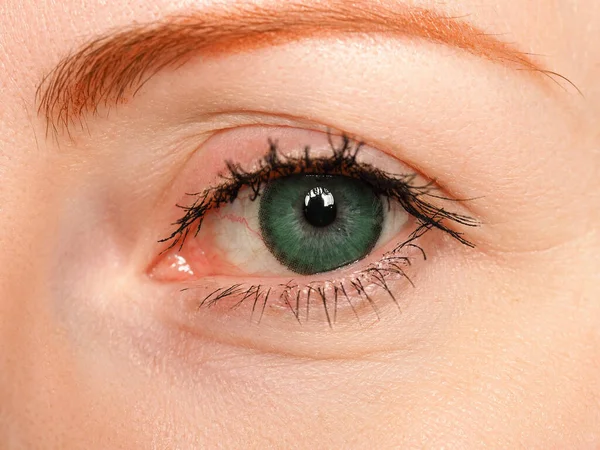 左蓝眼睛，绿色，有特殊隐形眼镜 — 图库照片