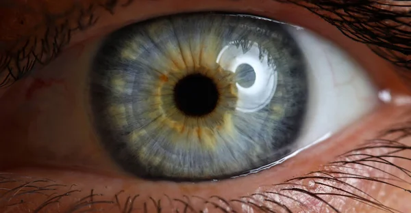 Женский левый зеленый и голубой цвет глаза экстрим — стоковое фото