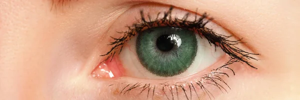 Ojo azul izquierdo femenino teñido en color verde con lente de contacto especial — Foto de Stock