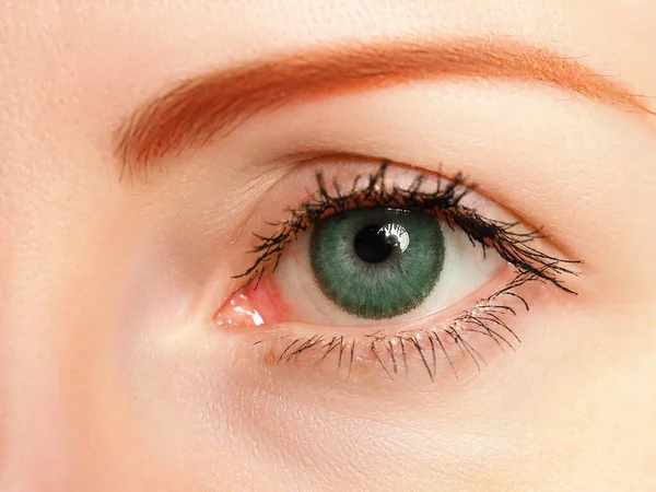 Vrouwelijke linker blauw oog getint in groene kleur met speciale contactlens — Stockfoto