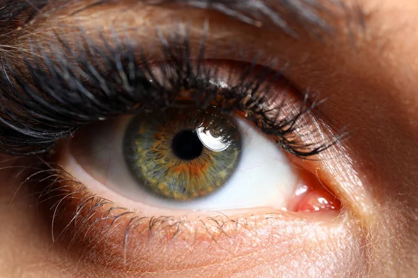 Hermoso ojo derecho de color verde femenino — Foto de Stock