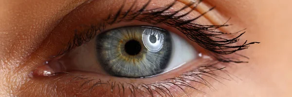 眼の健康とケア — ストック写真
