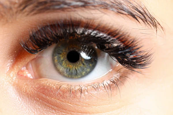 Linda fêmea verde colorido olho direito com pestanas extensões — Fotografia de Stock