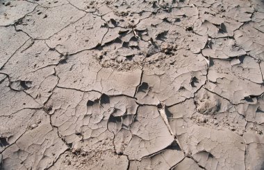 doku kuru kırık zemin.