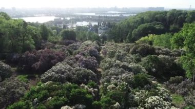 Kiev ilkbaharda, sabah Vydubitsky Manastırı