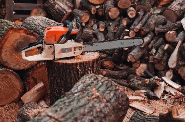 Elektrikli testere kereste fabrikasında kalıyor. Etrafta bir sürü kesilmiş odun var. Büyük iş başarıldı..