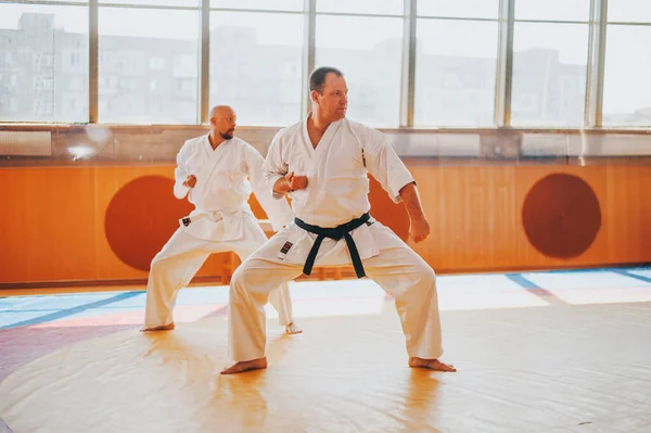 Two senior mans in kimono on tatami