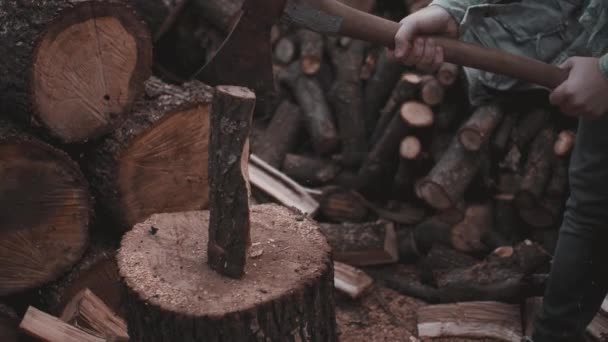 Cortando la leña en el aserradero — Vídeo de stock