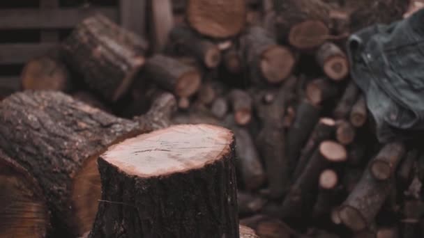 Slow motion shoot of lumberjack who punch lamber with butt of an ax and break it — Stockvideo