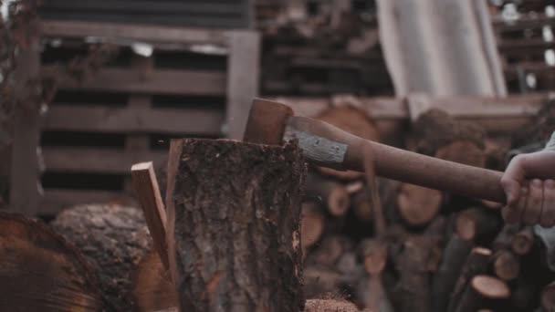 Smoking bearded lumberjack in green checker shirt cuts wood with axe — Stock Video